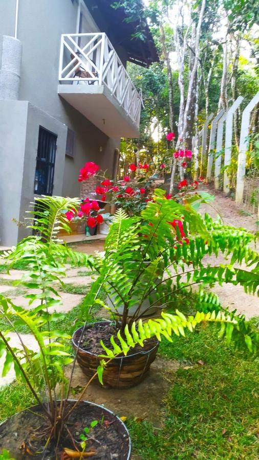 Vila Mulungu Casa Dış mekan fotoğraf